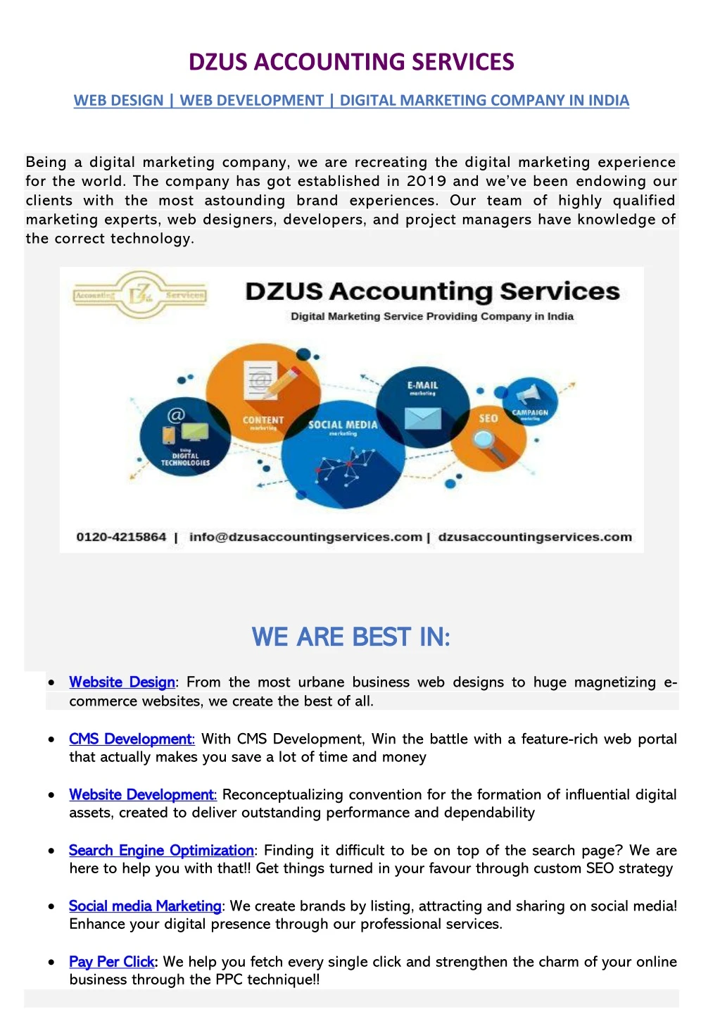 dzus accounting services