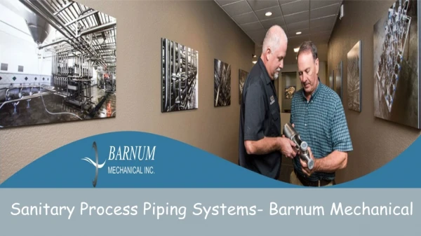 Supported System For Sanitary Process Piping Systems