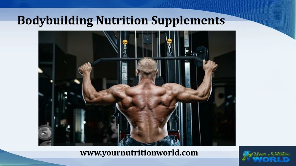 bodybuilding nutrition supplements