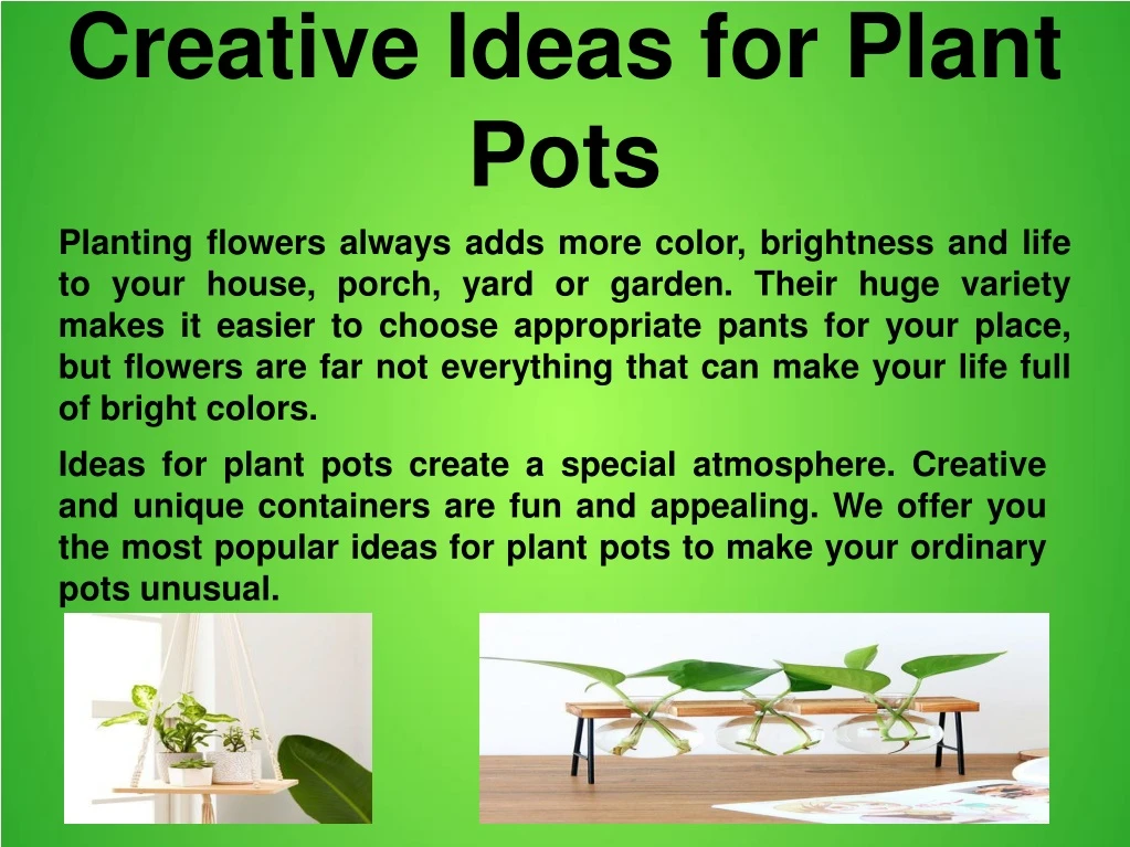 creative ideas for plant pots