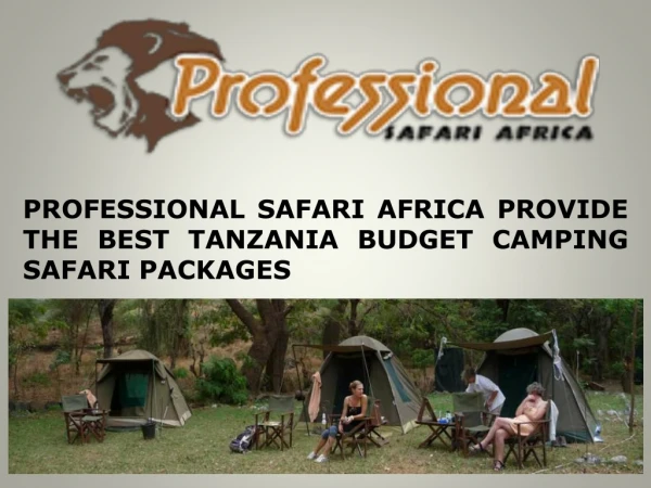 PROFESSIONAL SAFARI AFRICA PROVIDE THE BEST TANZANIA BUDGET CAMPING SAFARI PACKAGES