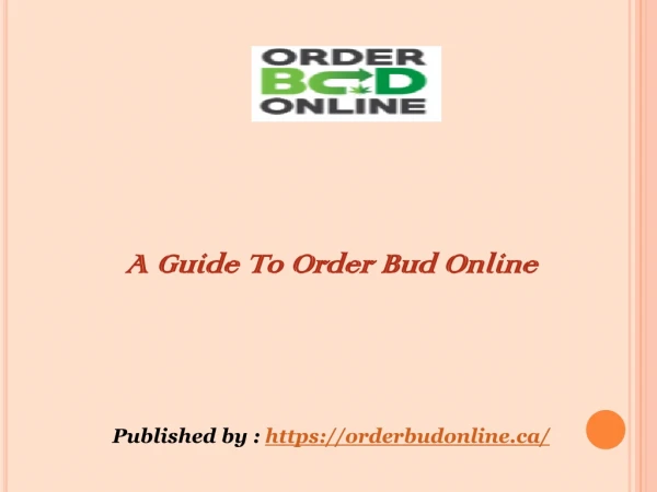 A Guide To Order Bud Online