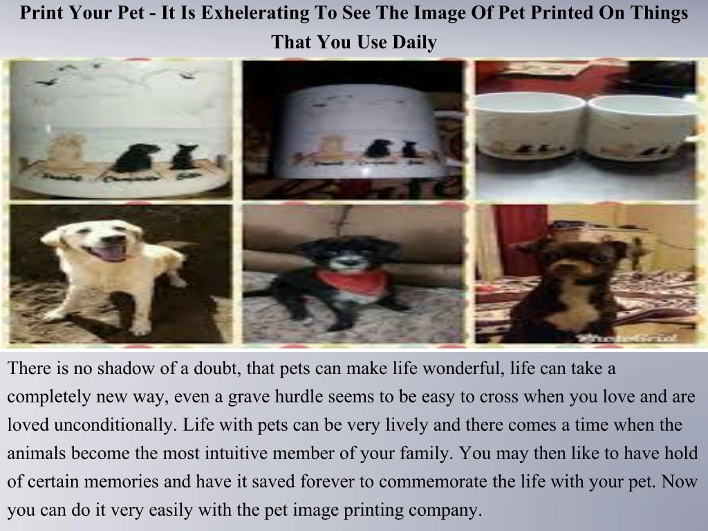 print your pet it is exhelerating to see the image of pet printed on things that you use daily