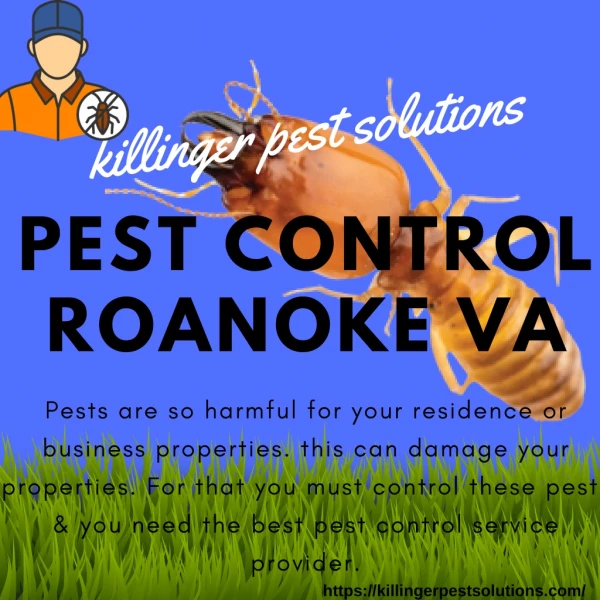 Pest Control Roanoke VA | Killinger Pest Solutions