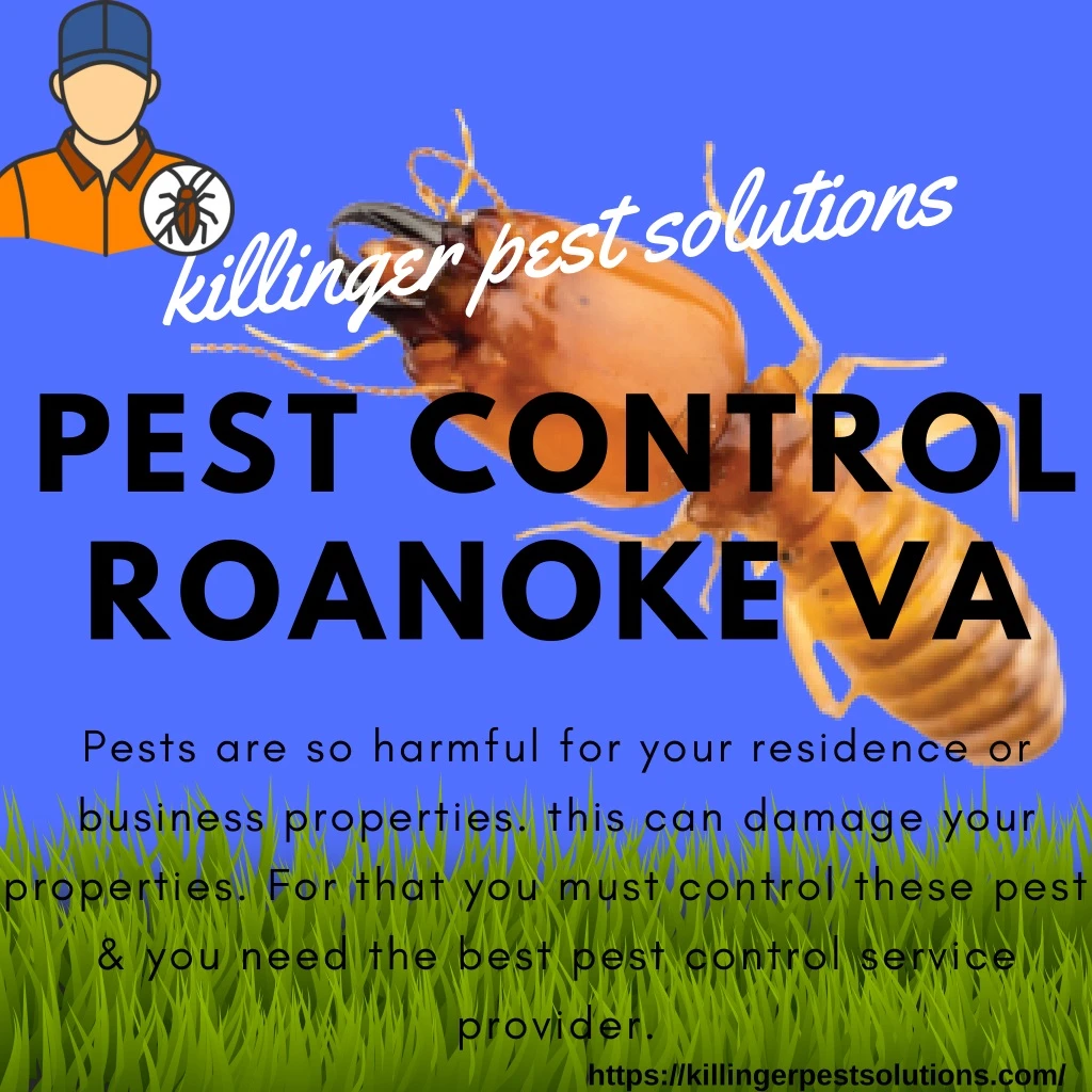 killinger pest solutions