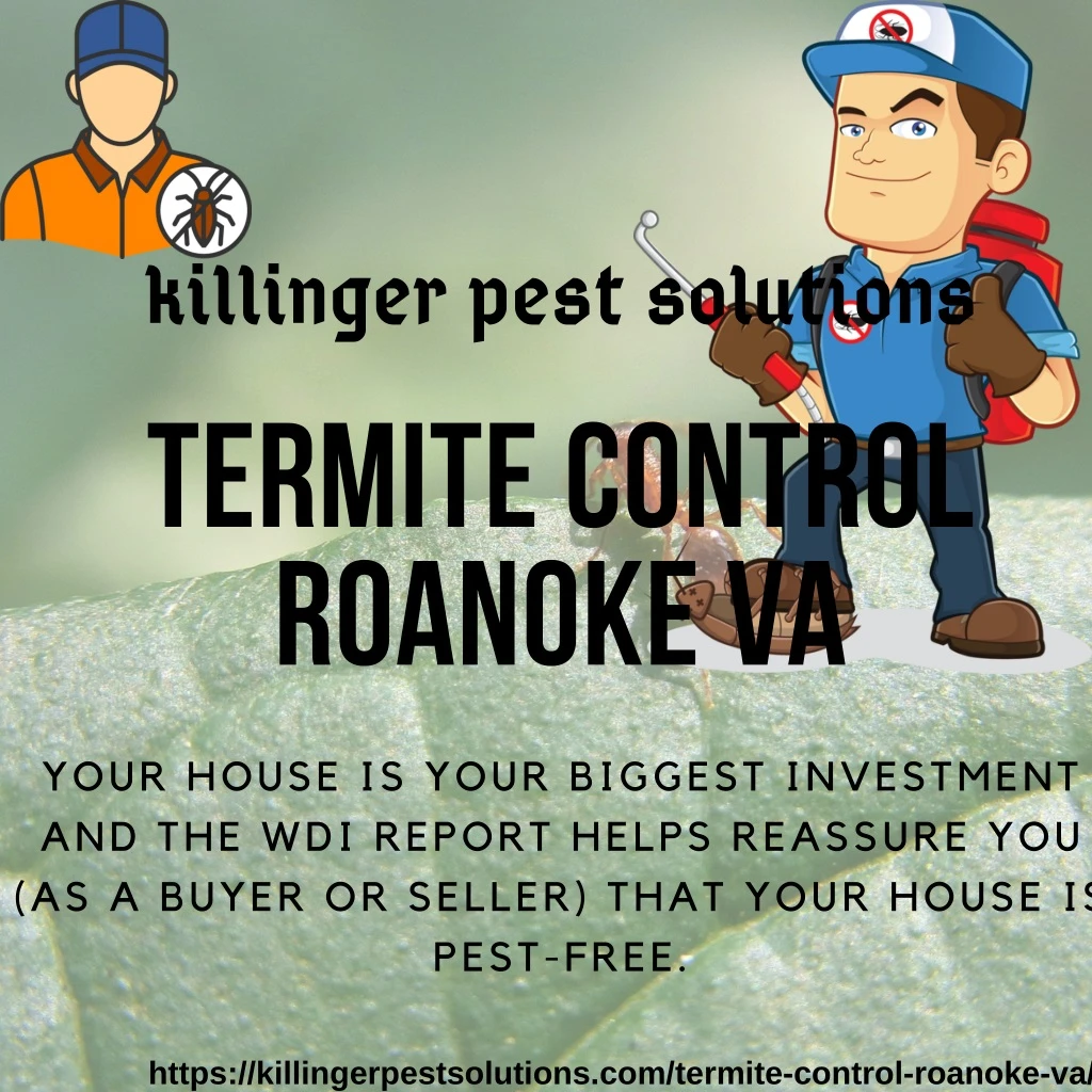 killinger pest solutions