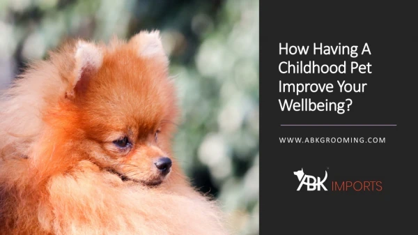 How Having A Childhood Pet Improve Your Wellbeing?