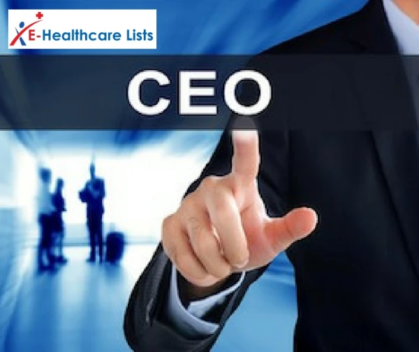 Chief Executive Officer Mailing List in USA