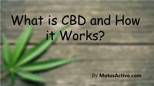 What is CBD and How it Works?