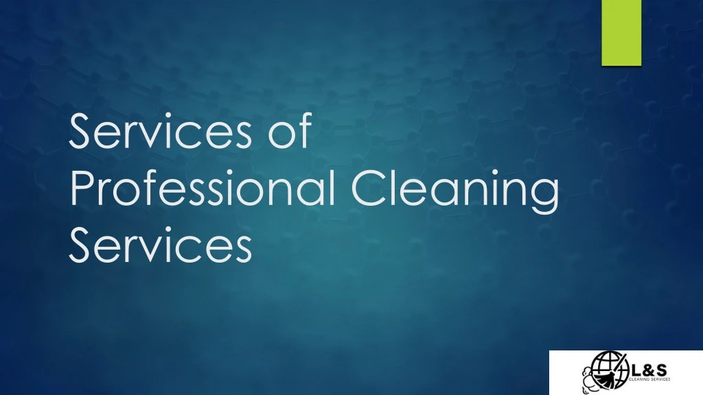 services of professional cleaning services