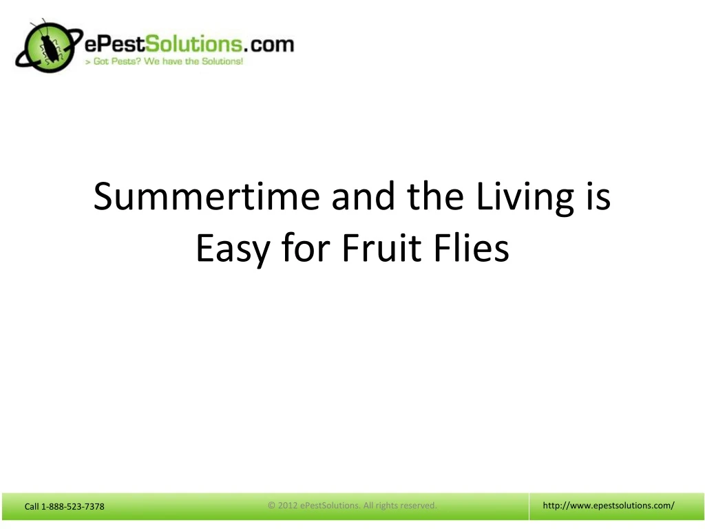 summertime and the living is easy for fruit flies