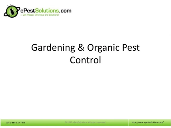 Gardening and Organic Pest Control