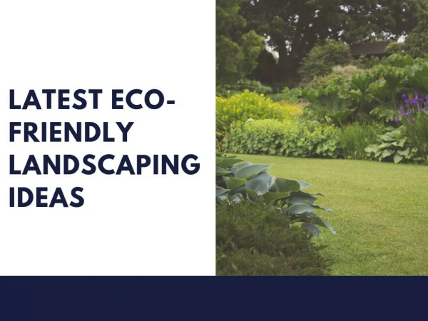 Latest Eco-Friendly Landscaping Ideas