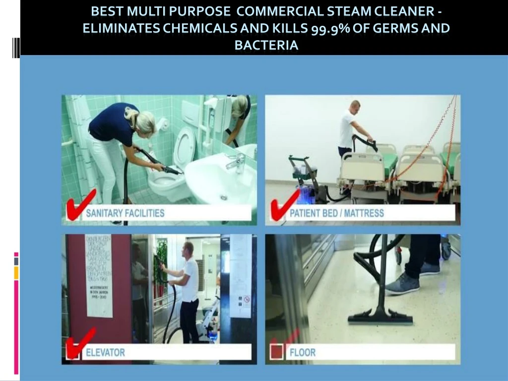 best multi purpose commercial steam cleaner