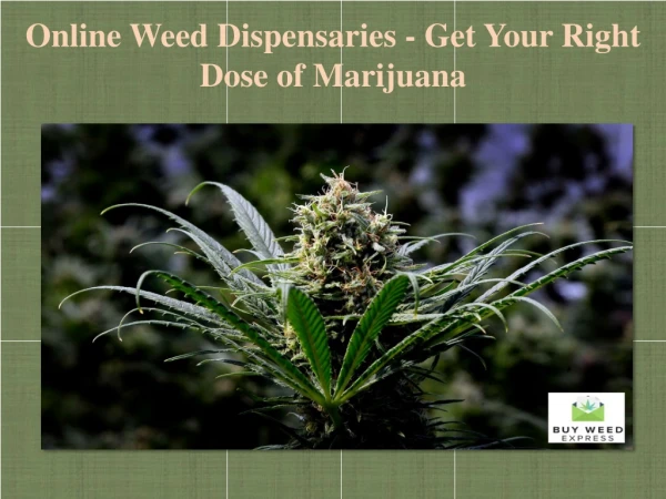 Online Weed Dispensaries - Get Your Right Dose of Marijuana