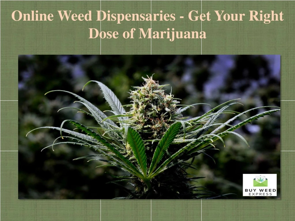 online weed dispensaries get your right dose