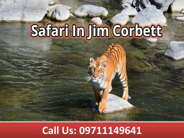 call us 09711149641
