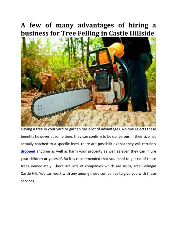 A few of many benefits of hiring a company for Tree Felling in Castle Hill