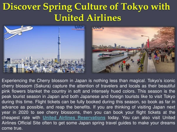 Discover Spring Culture of Tokyo with United Airlines