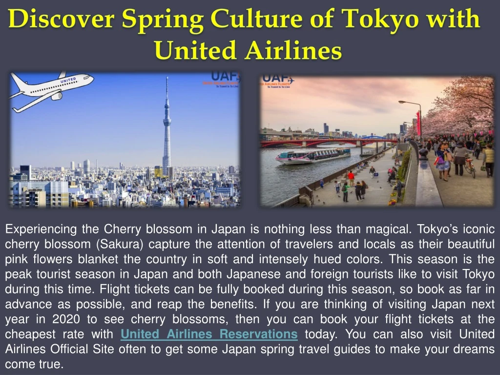 discover spring culture of tokyo with united
