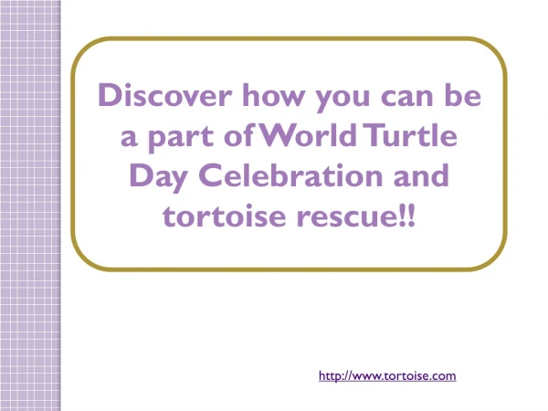 Discover how you can be a part of World Turtle Day Celebration and tortoise rescue!!