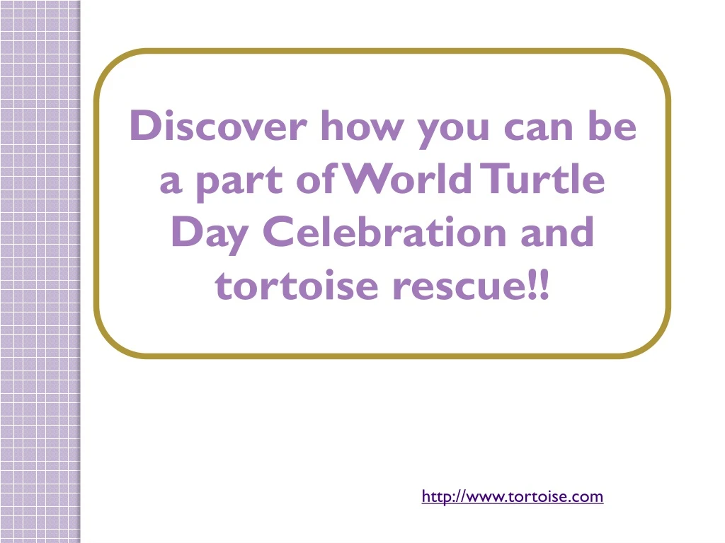 discover how you can be a part of world turtle