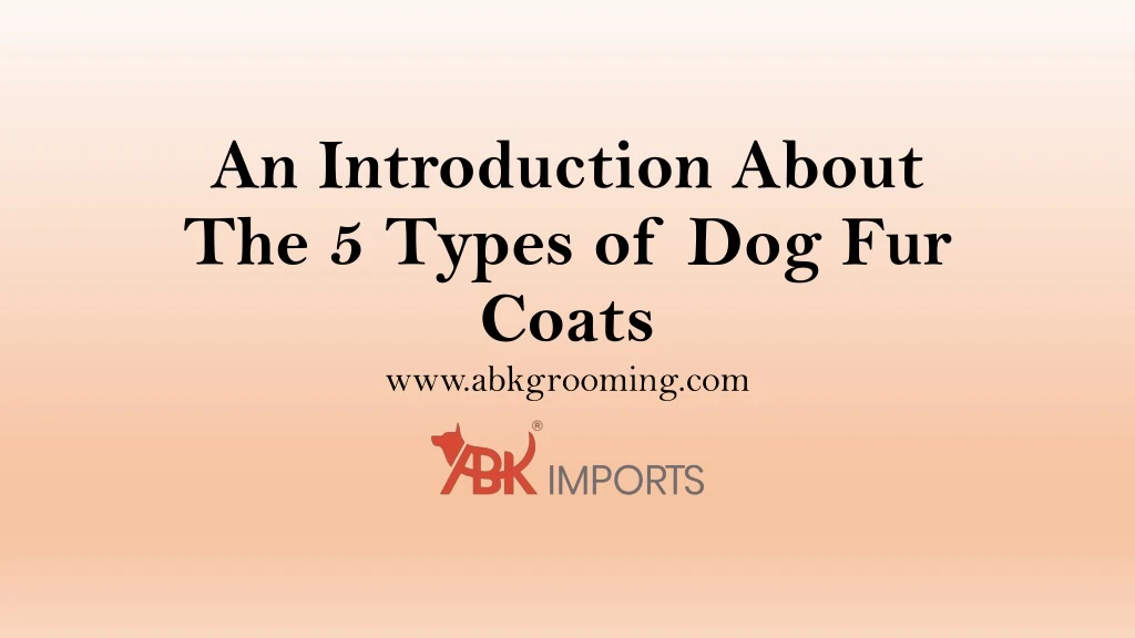 an introduction about the 5 types of dog fur coats