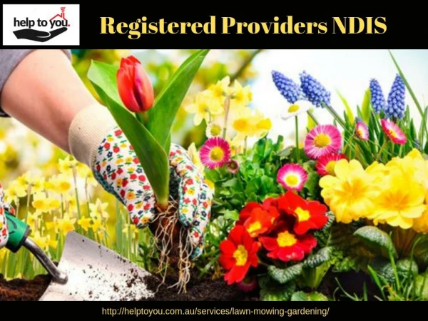 Registered Providers NDIS