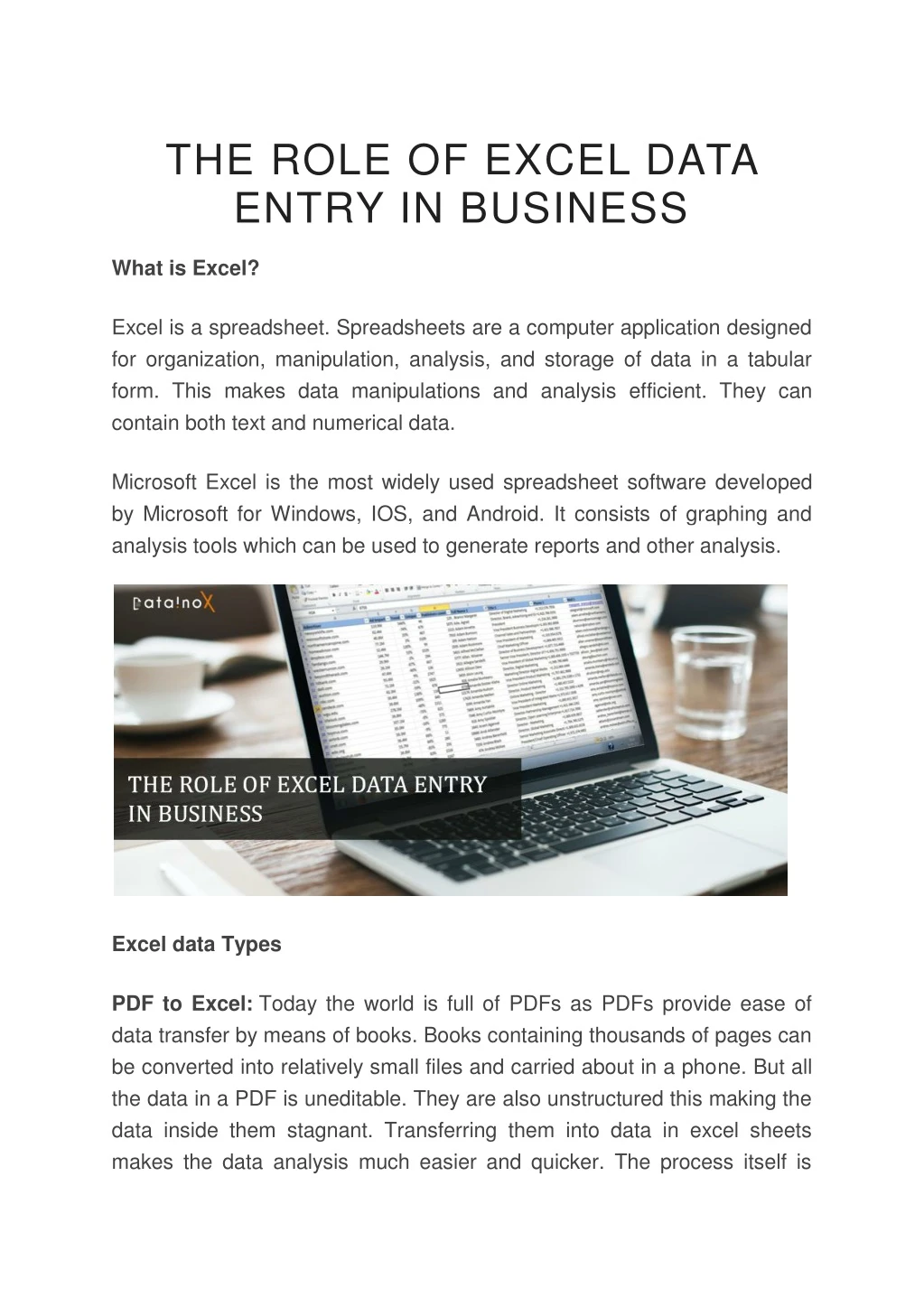 the role of excel data entry in business