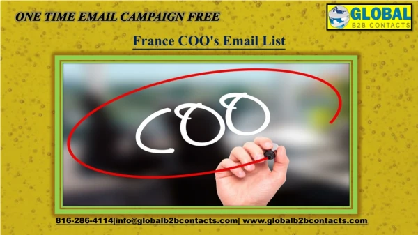 France COO's Email List