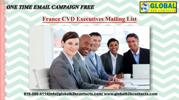 France CVD Executives Mailing List