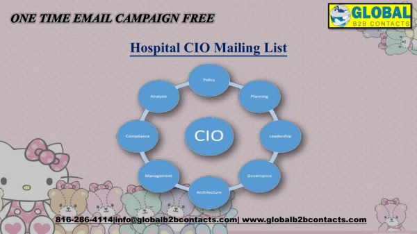 Hospital CIO Mailing List