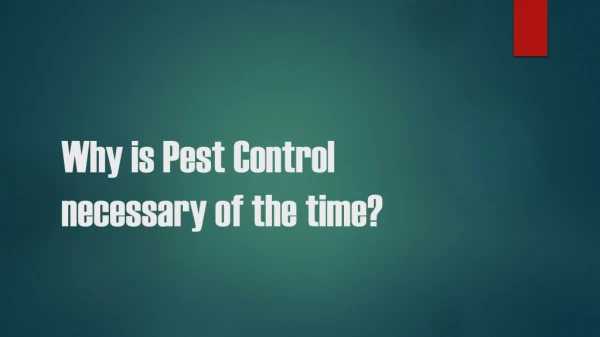 Why is Pest Control necessary of the time?