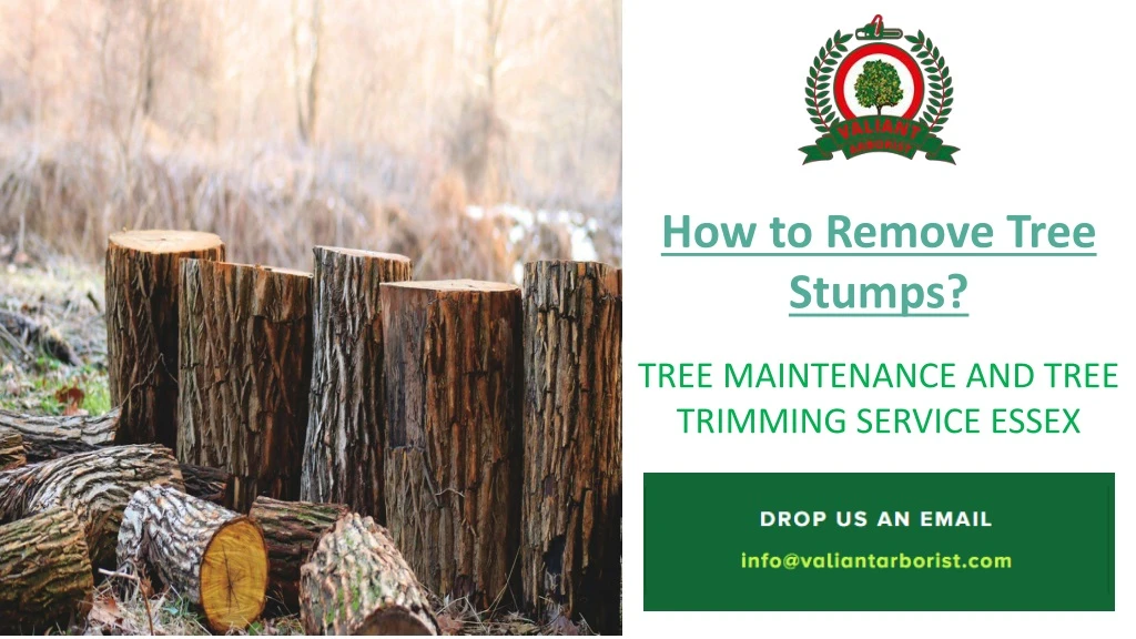 how to remove tree stumps