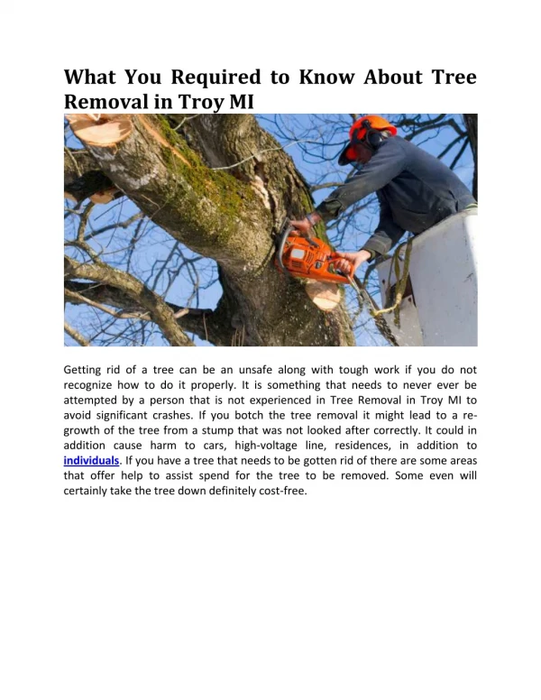 What You Need to Know About Tree Removal in Troy MI