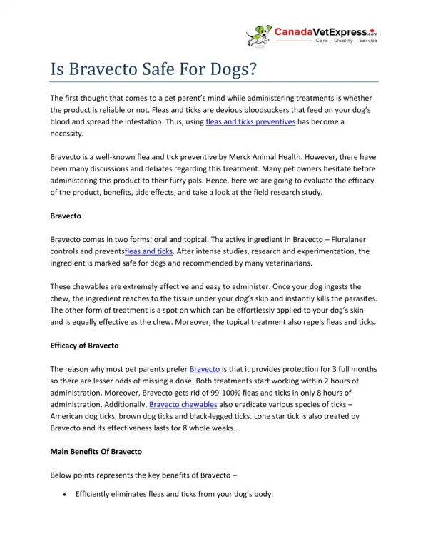Is Bravecto Safe For Dogs?