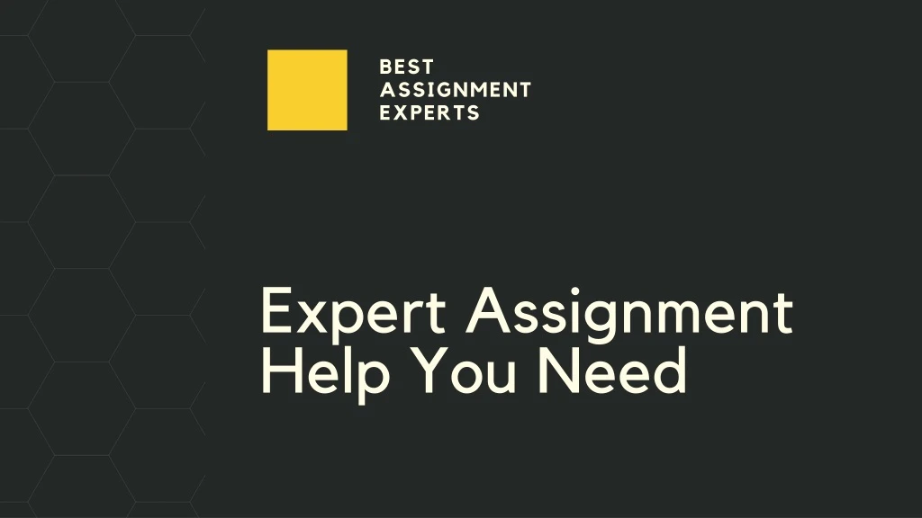 expert assignment help you need
