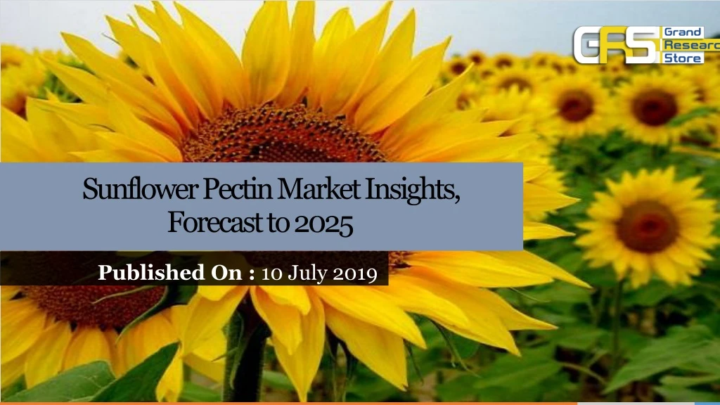 sunflower pectin market insights forecast to 2025