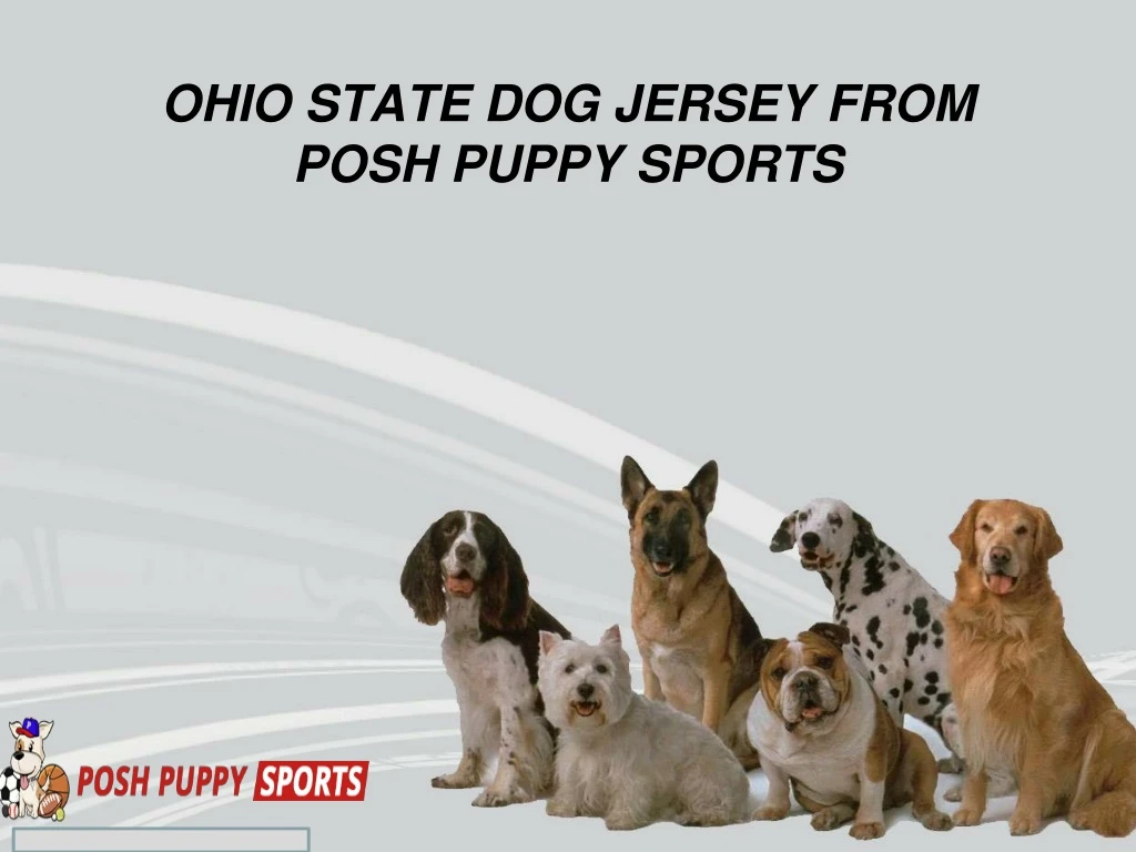 ohio state dog jersey from posh puppy sports