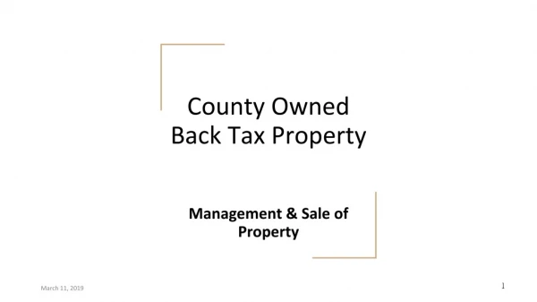 County Owned Back Tax Property
