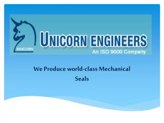 Mechanical Seal Manufacturer - slide 1