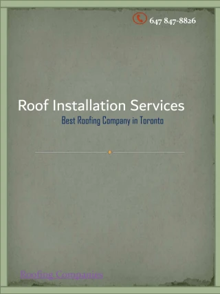Best Roof Repair Services Contractor