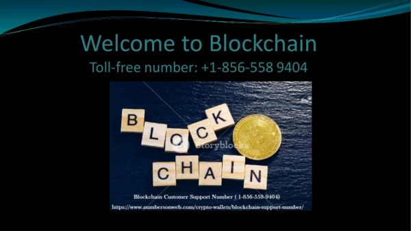 Blockchain Support Number 1-856 558 9404