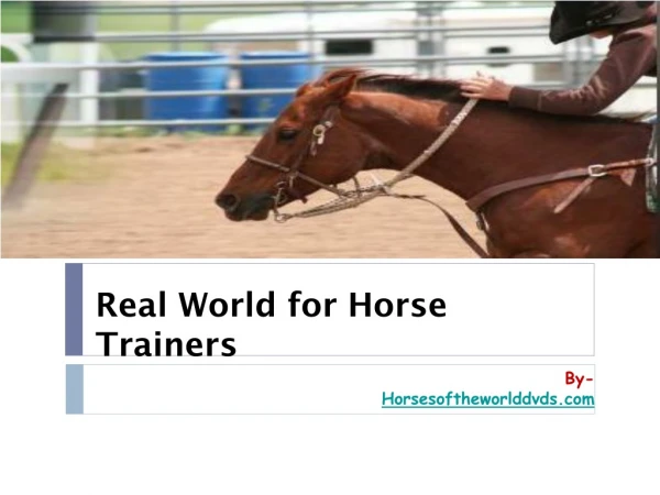Real World For Horse Trainers