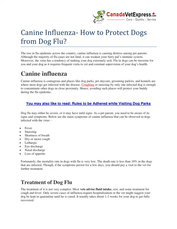 Canine Influenza- How to Protect Dogs from Dog Flu?