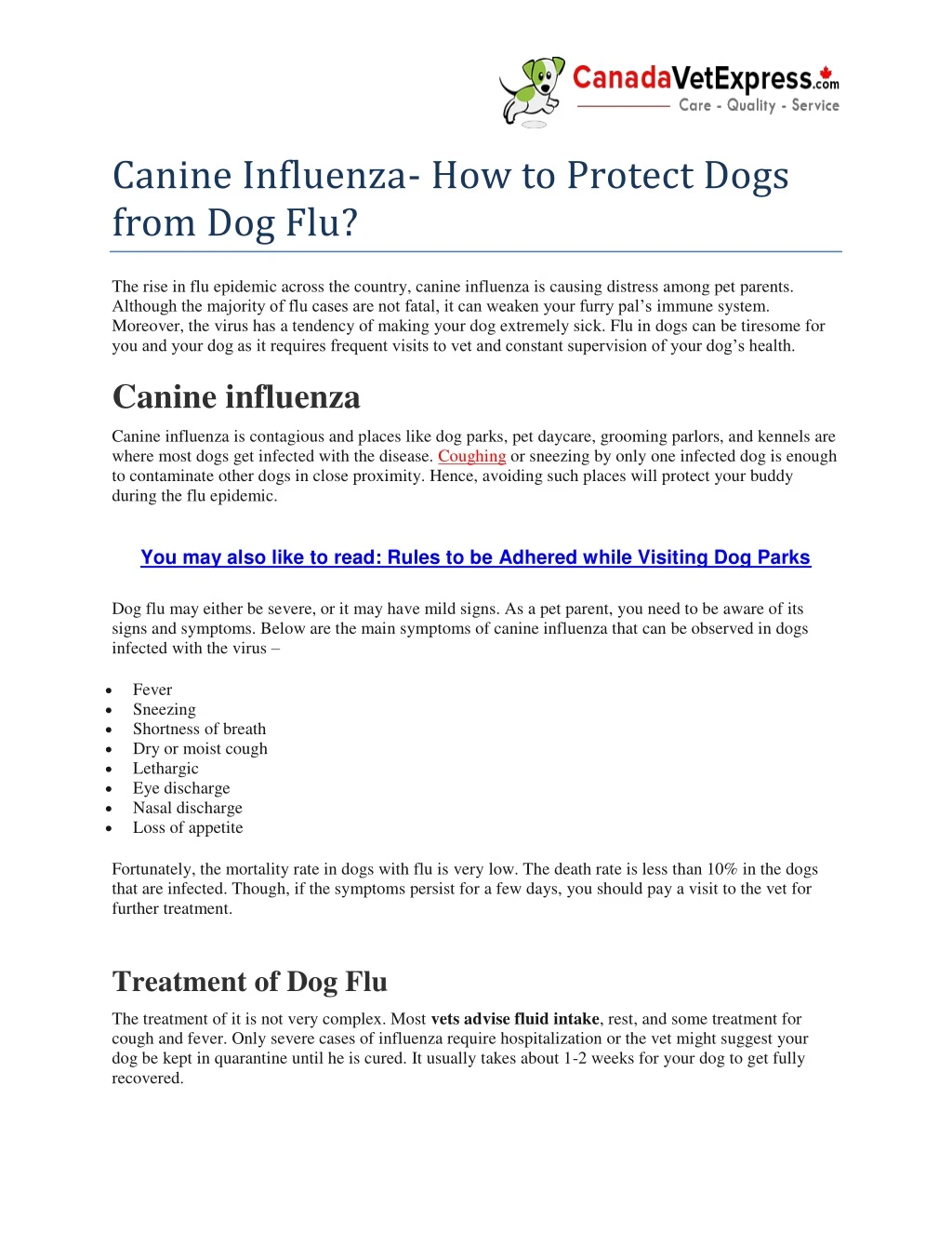 canine influenza how to protect dogs from dog flu