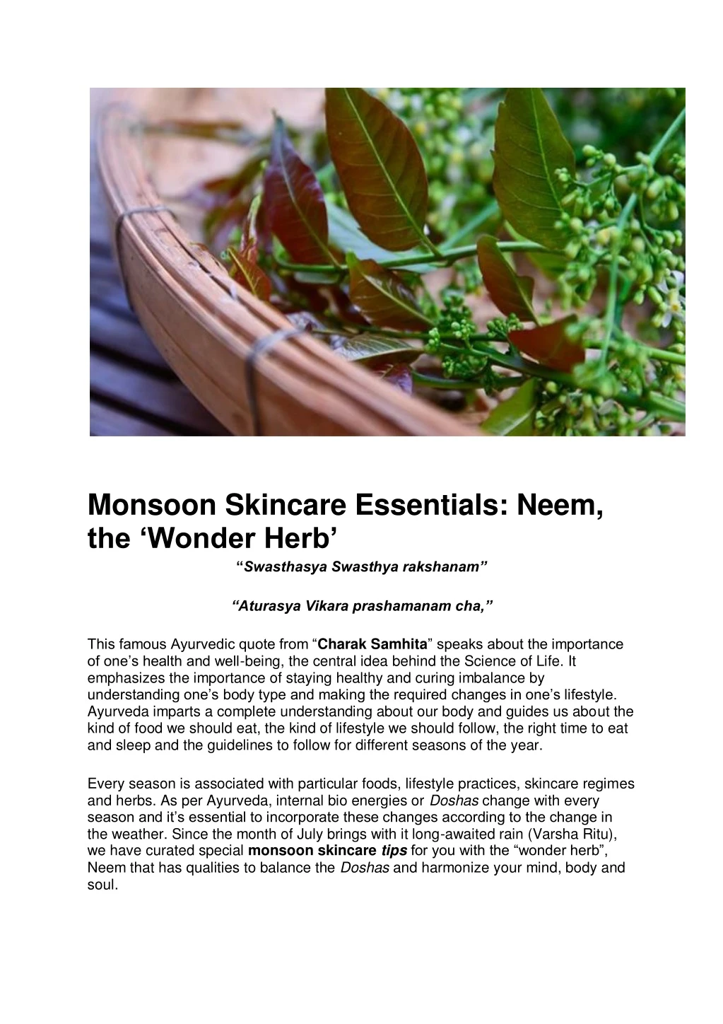 monsoon skincare essentials neem the wonder herb