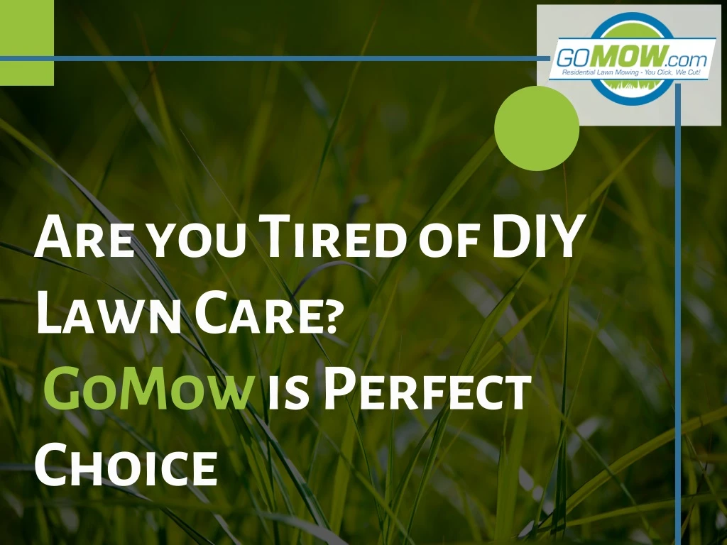 are you tired of diy lawn care gomow is perfect