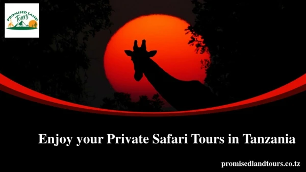 Enjoy your Private Safari Tours in Tanzania