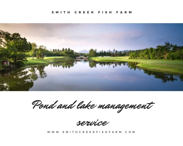 pond and lake management service at Smith creek fish farm